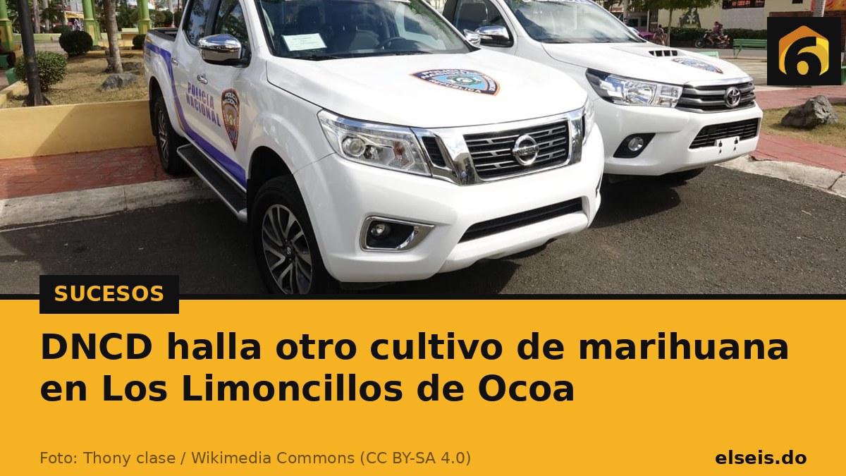 DNCD halla otro cultivo de marihuana en Los Limoncillos de Ocoa