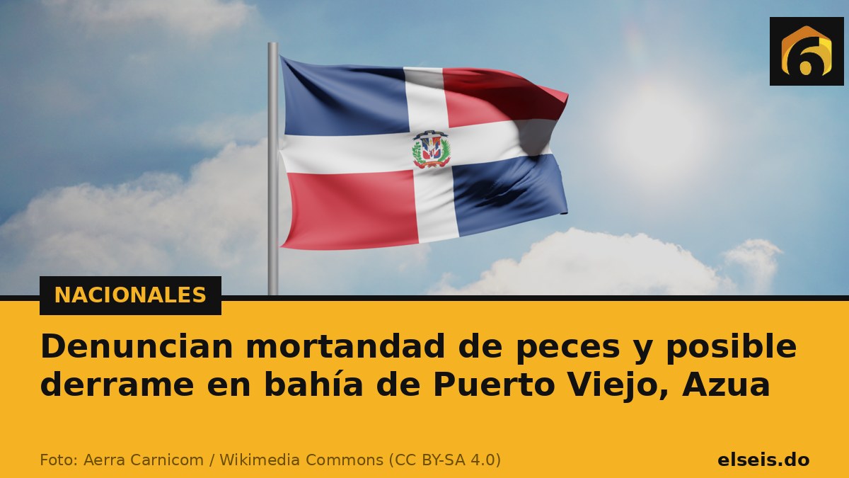 Denuncian mortandad de peces y posible derrame en bahía de Puerto Viejo, Azua