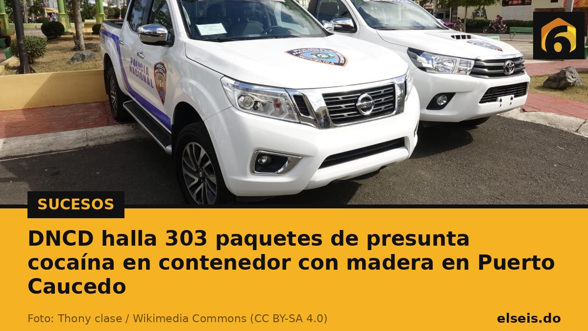 DNCD halla 303 paquetes de presunta cocaína en contenedor con madera en Puerto Caucedo