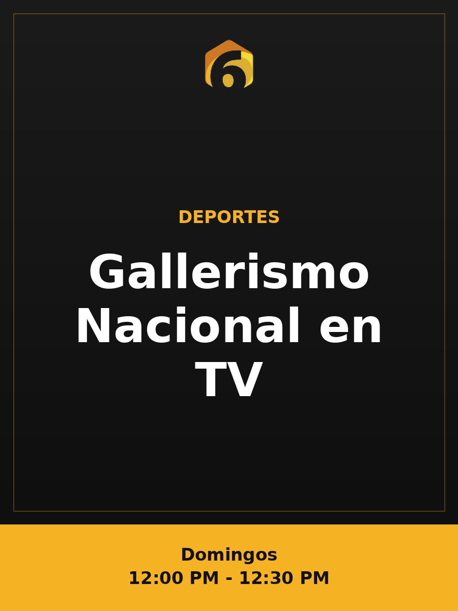 Gallerismo Nacional en TV
